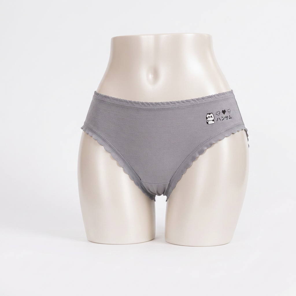 4-Piece Women's Briefs Deal | Luvia Rose