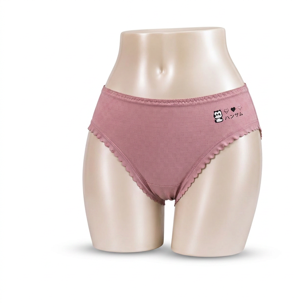 4-Piece Women's Briefs Deal | Luvia Rose