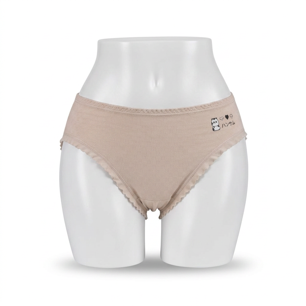 4-Piece Women's Briefs Deal | Luvia Rose